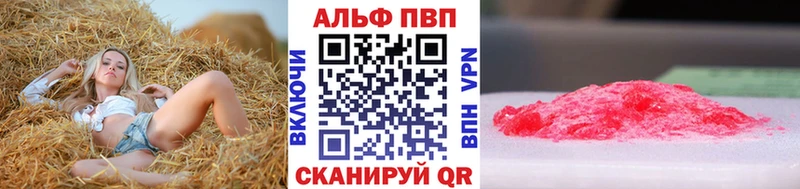APVP СК КРИС  KRAKEN   Питкяранта 