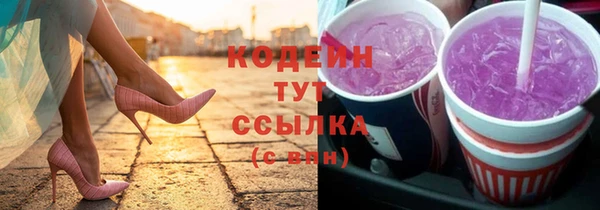 индика Горнозаводск