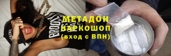 индика Горнозаводск