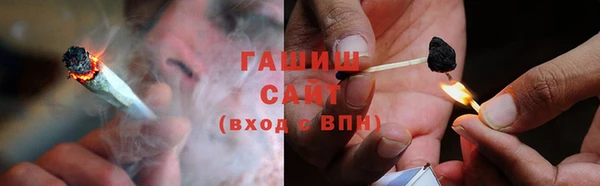 индика Горнозаводск