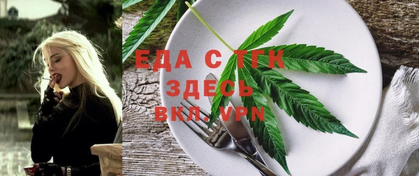 индика Горнозаводск