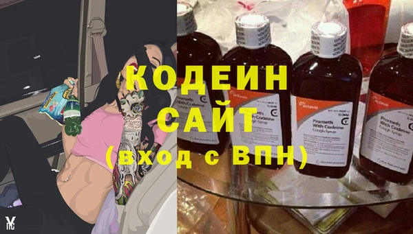 индика Горнозаводск