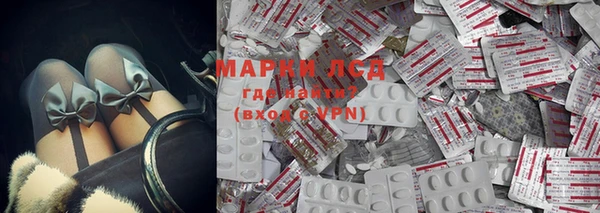 индика Горнозаводск