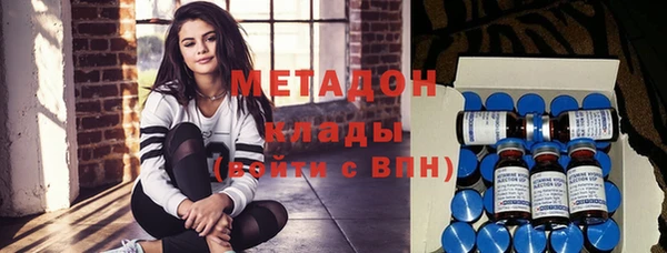 индика Горнозаводск