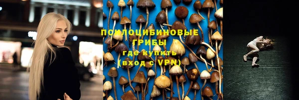 скорость Горняк